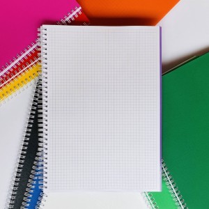 CADERNO QUADRICULADO 1X1  ESPIRAL 80 FOLHAS CAPA DURA