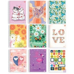 CADERNO UNIVERSITÁRIO 1X1 96FOLHAS CAPA DURA SD SÃO DOMINGOS